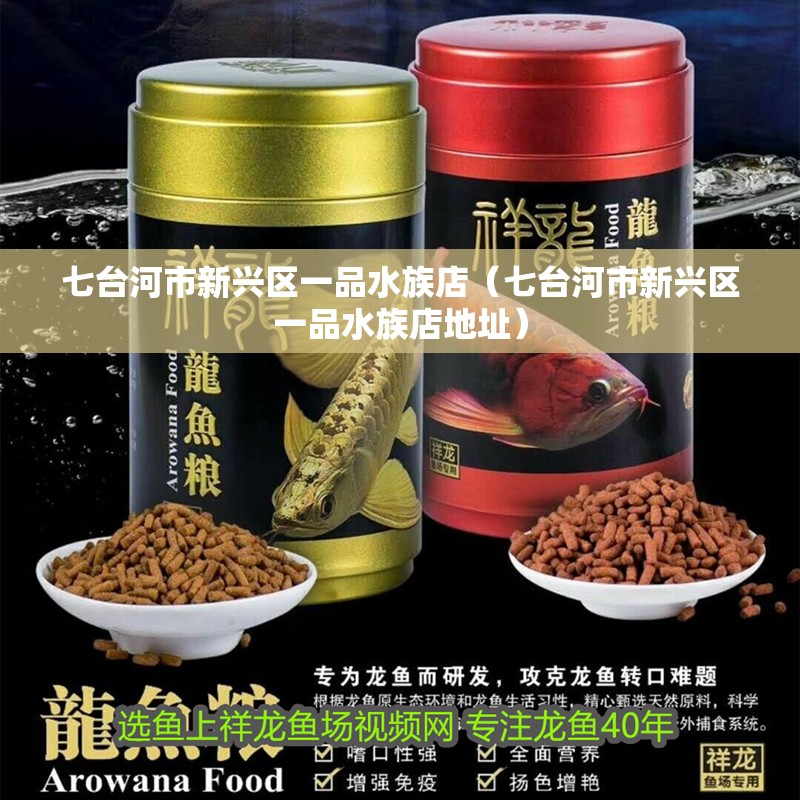 七臺河市新興區(qū)一品水族店（七臺河市新興區(qū)一品水族店地址）