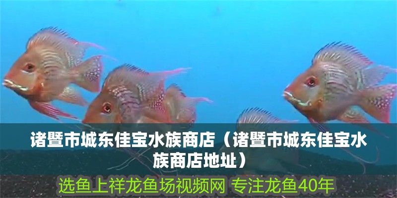諸暨市城東佳寶水族商店（諸暨市城東佳寶水族商店地址） 諸暨市城東佳寶水族商店（諸暨市城東佳寶水族商店地址） 全國水族館企業名錄 第2張