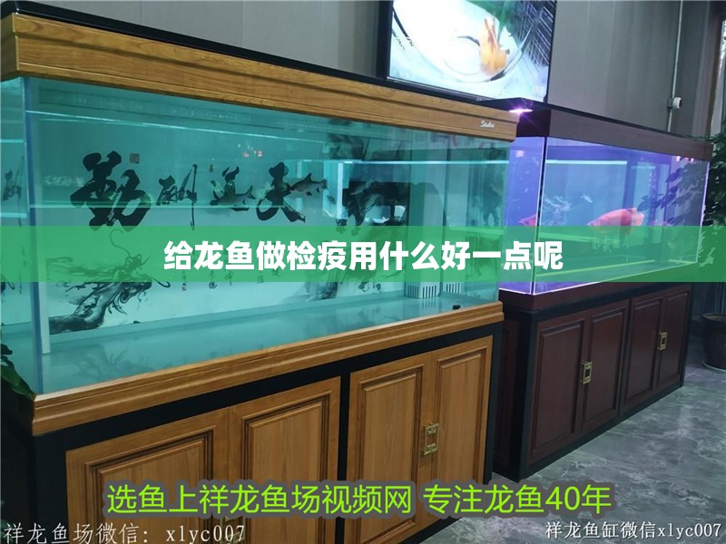 給龍魚做檢疫用什么好一點呢 給龍魚做檢疫用什么好一點呢 龍魚百科 第2張