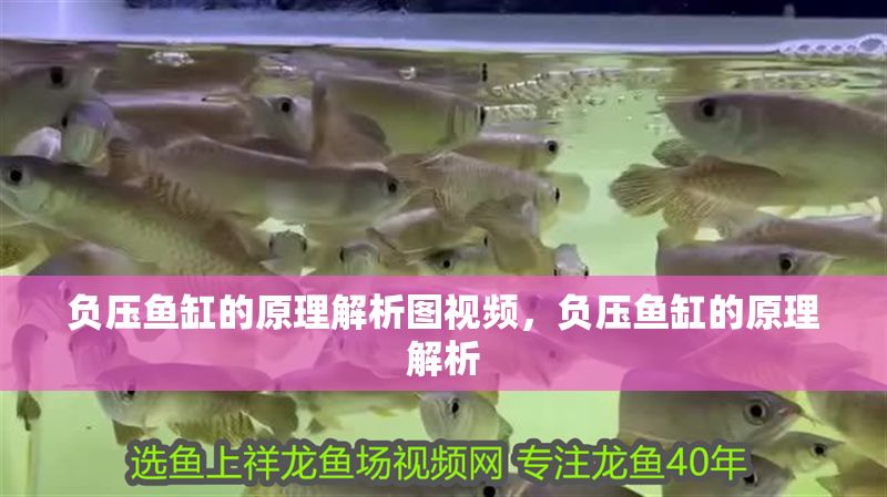 負(fù)壓魚缸的原理解析圖視頻，負(fù)壓魚缸的原理解析