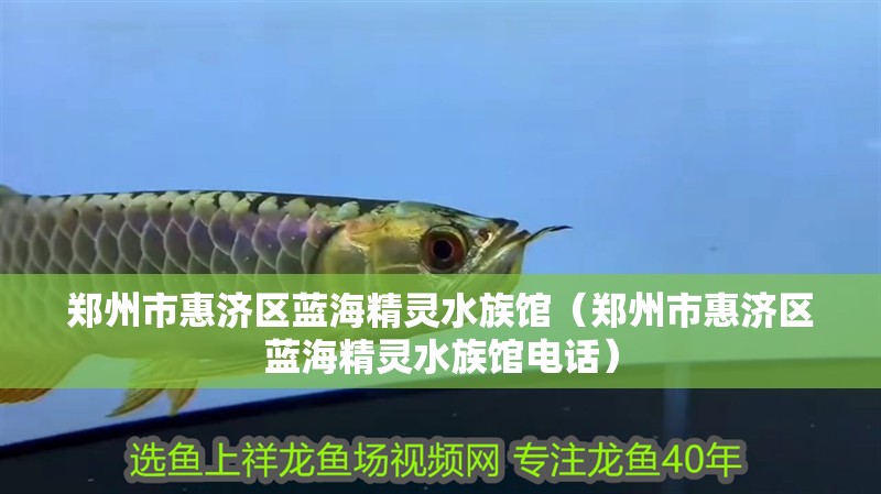 鄭州市惠濟(jì)區(qū)藍(lán)海精靈水族館（鄭州市惠濟(jì)區(qū)藍(lán)海精靈水族館電話）