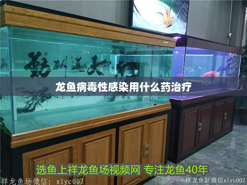 龍魚病毒性感染用什么藥治療