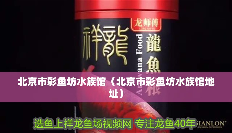 北京市彩魚坊水族館（北京市彩魚坊水族館地址）