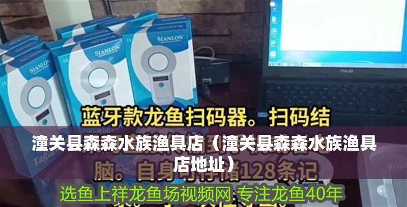 潼關縣森森水族漁具店（潼關縣森森水族漁具店地址）