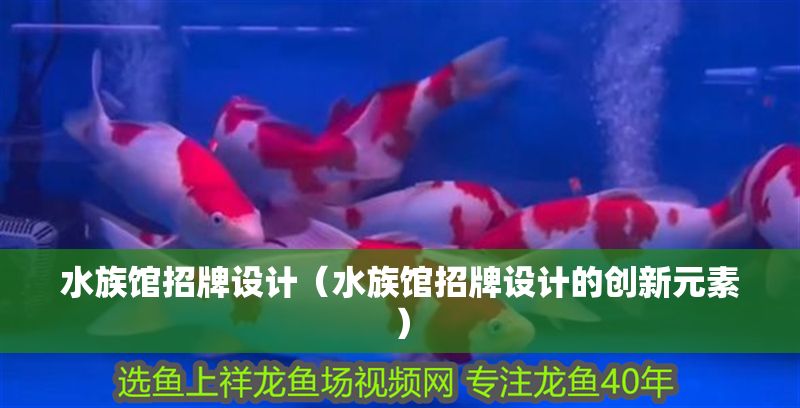 水族館招牌設計（水族館招牌設計的創新元素）