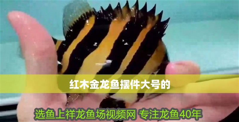 紅木金龍魚擺件大號的