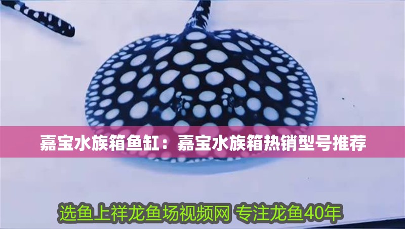 嘉寶水族箱魚缸：嘉寶水族箱熱銷型號推薦 嘉寶水族箱魚缸：嘉寶水族箱熱銷型號推薦 魚缸百科