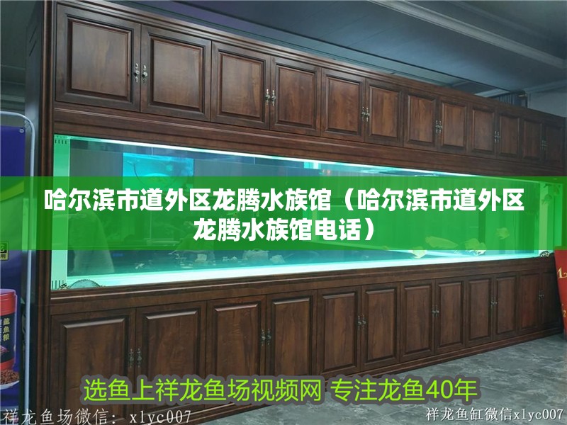 哈爾濱市道外區龍騰水族館（哈爾濱市道外區龍騰水族館電話）