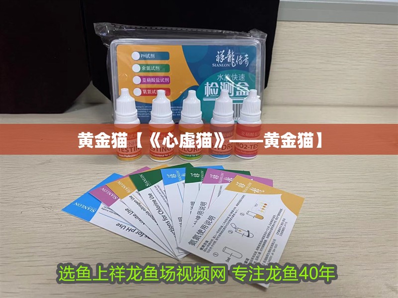 黃金貓【《心虛貓》——黃金貓】