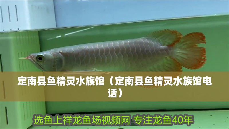 定南縣魚精靈水族館(定南縣魚精靈水族館電話) 全國水族館企業名錄 第2張 定南縣魚精靈水族館(定南縣魚精靈水族館電話) 定南縣魚精靈水族館(定南縣魚精靈水族館電話) 全國水族館企業名錄 第2張