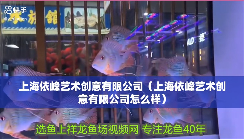 上海依峰藝術(shù)創(chuàng)意有限公司（上海依峰藝術(shù)創(chuàng)意有限公司怎么樣）