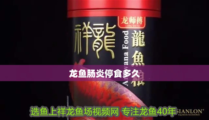龍魚腸炎停食多久 龍魚百科 龍魚腸炎停食多久 龍魚腸炎停食多久 龍魚百科