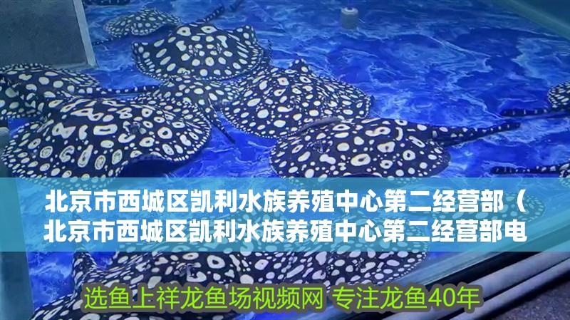 北京市西城區凱利水族養殖中心第二經營部（北京市西城區凱利水族養殖中心第二經營部電話）