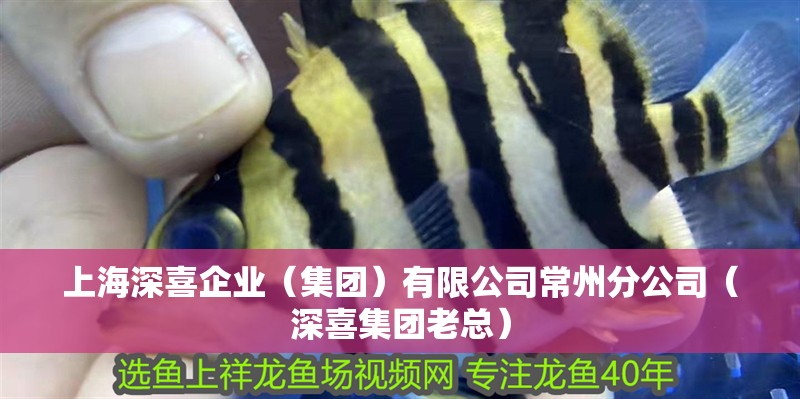 上海深喜企業（集團）有限公司常州分公司（深喜集團老總）