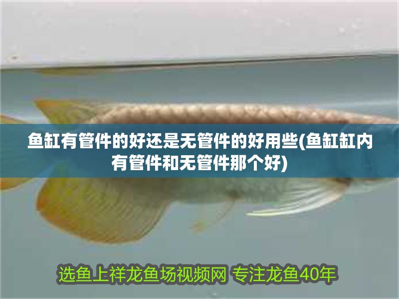 魚缸有管件的好還是無管件的好用些(魚缸缸內有管件和無管件那個好)