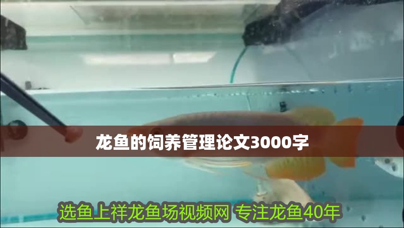 龍魚的飼養(yǎng)管理論文3000字