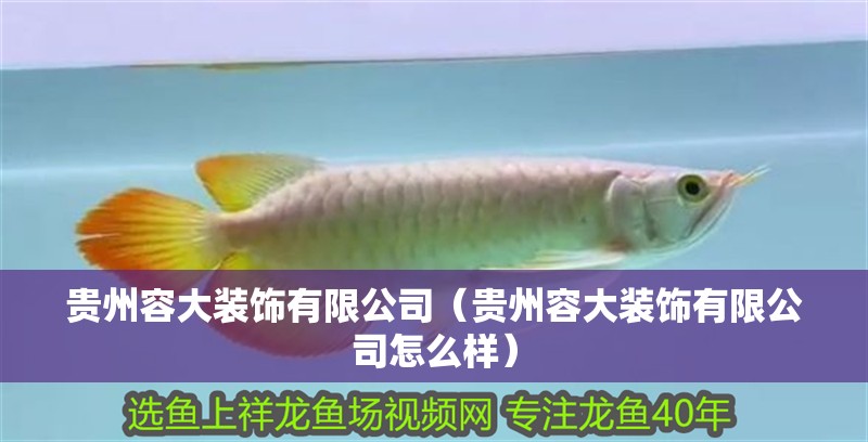 貴州容大裝飾有限公司（貴州容大裝飾有限公司怎么樣） 貴州容大裝飾有限公司（貴州容大裝飾有限公司怎么樣） 全國水族館企業名錄 第2張