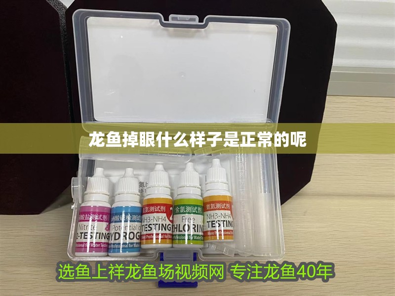 龍魚掉眼什么樣子是正常的呢