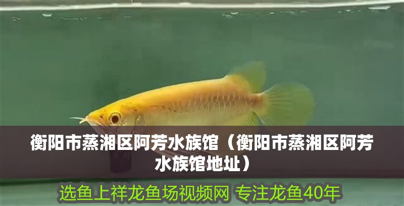 衡陽市蒸湘區阿芳水族館（衡陽市蒸湘區阿芳水族館地址） 衡陽市蒸湘區阿芳水族館（衡陽市蒸湘區阿芳水族館地址） 全國水族館企業名錄 第2張