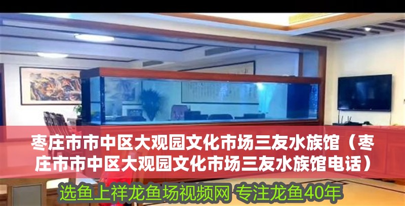 棗莊市市中區大觀園文化市場三友水族館（棗莊市市中區大觀園文化市場三友水族館電話）