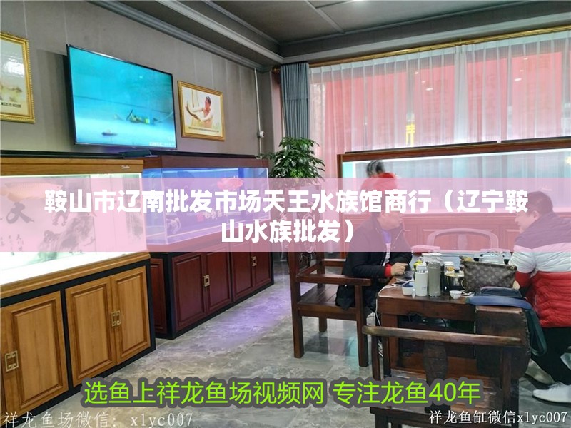 鞍山市遼南批發市場天王水族館商行（遼寧鞍山水族批發）