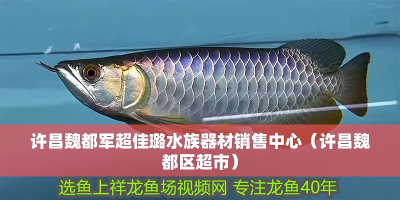 許昌魏都軍超佳璐水族器材銷售中心（許昌魏都區(qū)超市）