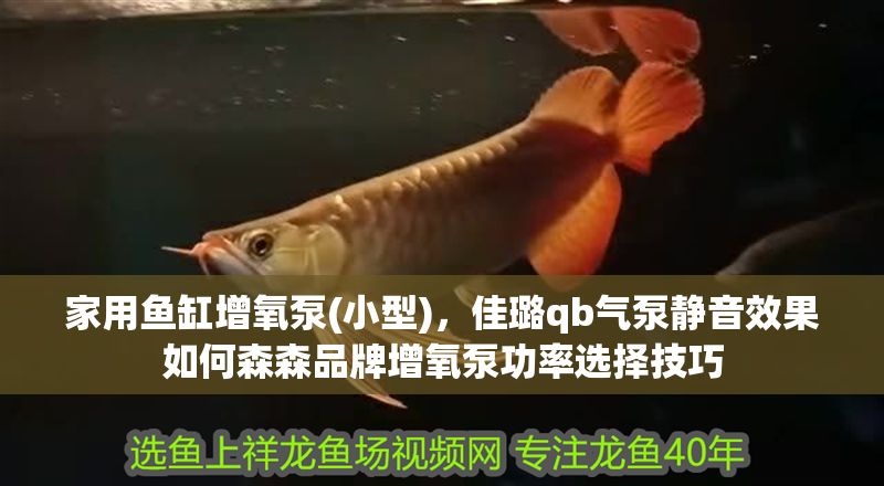 家用魚(yú)缸增氧泵(小型)，佳璐qb氣泵靜音效果如何森森品牌增氧泵功率選擇技巧