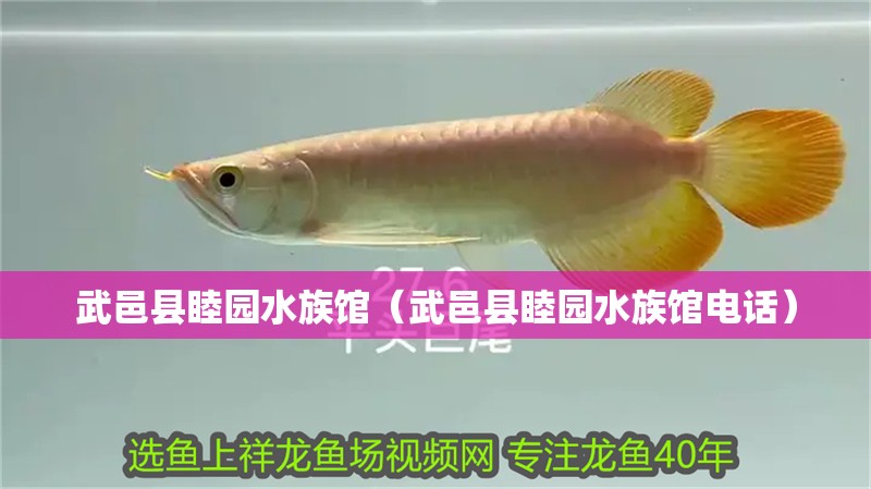 武邑縣睦園水族館（武邑縣睦園水族館電話）