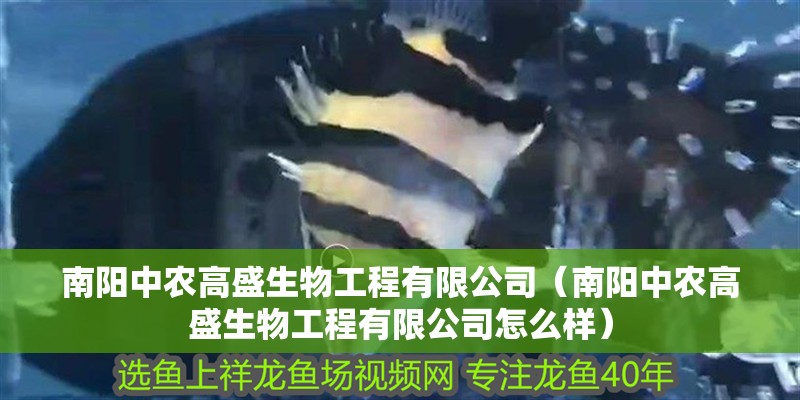南陽中農高盛生物工程有限公司（南陽中農高盛生物工程有限公司怎么樣）