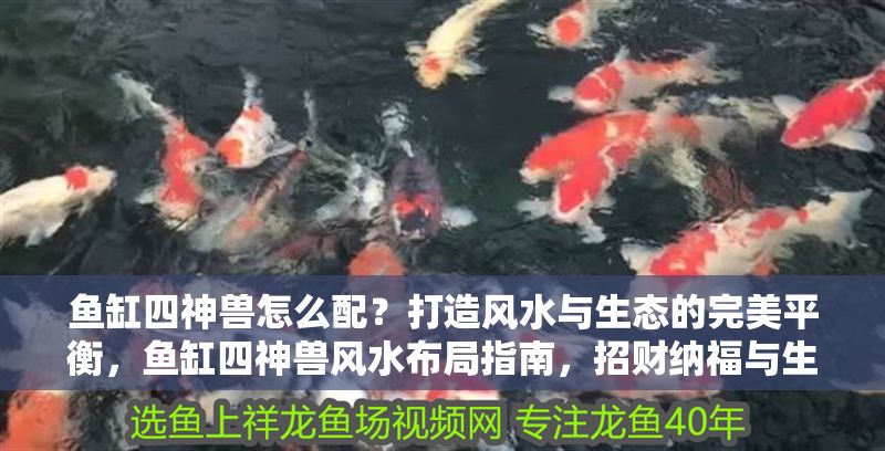 魚缸四神獸怎么配？打造風水與生態的完美平衡，魚缸四神獸風水布局指南，招財納福與生態平衡的完美結合