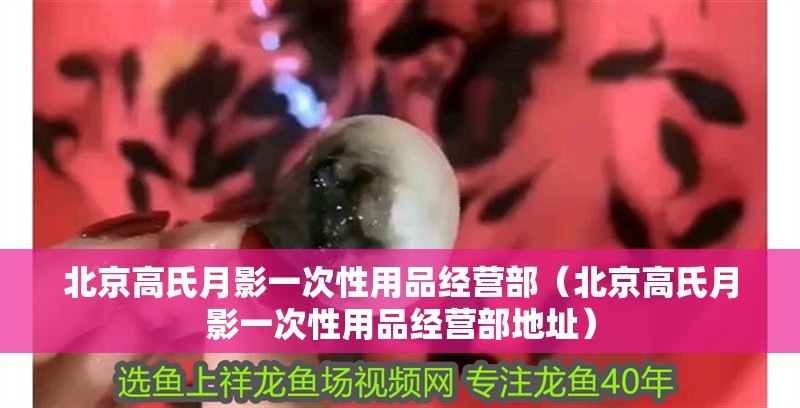 北京高氏月影一次性用品經營部（北京高氏月影一次性用品經營部地址） 北京高氏月影一次性用品經營部（北京高氏月影一次性用品經營部地址） 全國水族館企業名錄 第2張