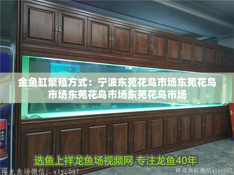 金魚缸繁殖方式：寧波東苑花鳥市場東苑花鳥市場東苑花鳥市場東苑花鳥市場 金魚缸繁殖方式：寧波東苑花鳥市場東苑花鳥市場東苑花鳥市場東苑花鳥市場 魚缸百科