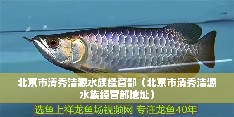 北京市清秀潔源水族經(jīng)營部（北京市清秀潔源水族經(jīng)營部地址） 北京市清秀潔源水族經(jīng)營部（北京市清秀潔源水族經(jīng)營部地址） 全國水族館企業(yè)名錄 第2張