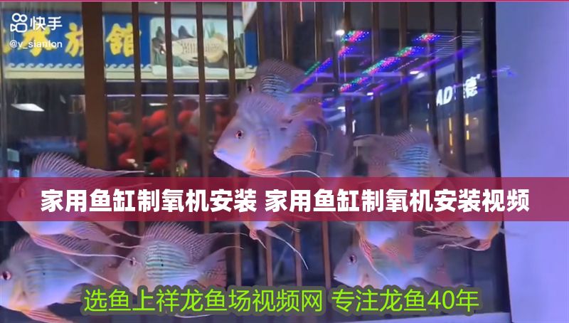 家用魚(yú)缸制氧機(jī)安裝 家用魚(yú)缸制氧機(jī)安裝視頻
