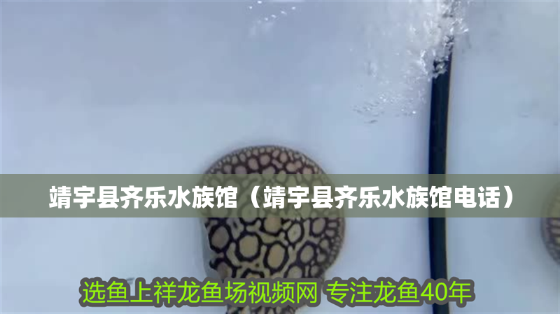 靖宇縣齊樂水族館(靖宇縣齊樂水族館電話) 全國水族館企業(yè)名錄 第2張 靖宇縣齊樂水族館(靖宇縣齊樂水族館電話) 靖宇縣齊樂水族館(靖宇縣齊樂水族館電話) 全國水族館企業(yè)名錄 第2張