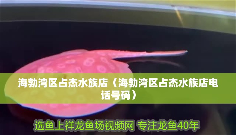 海勃灣區占杰水族店（海勃灣區占杰水族店電話號碼）