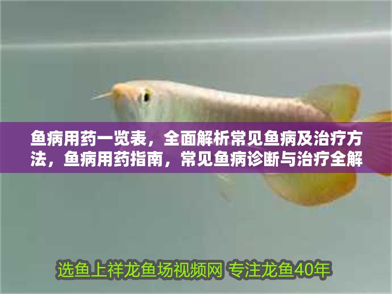 魚病用藥一覽表,全面解析常見(jiàn)魚病及治療方法,魚病用藥指南,常見(jiàn)魚病診斷與治療全解析