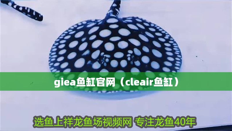 giea魚缸官網（cleair魚缸）