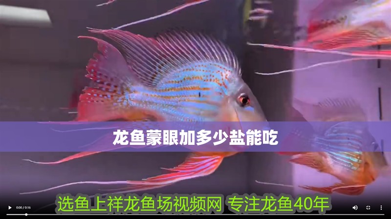 龍魚蒙眼加多少鹽能吃