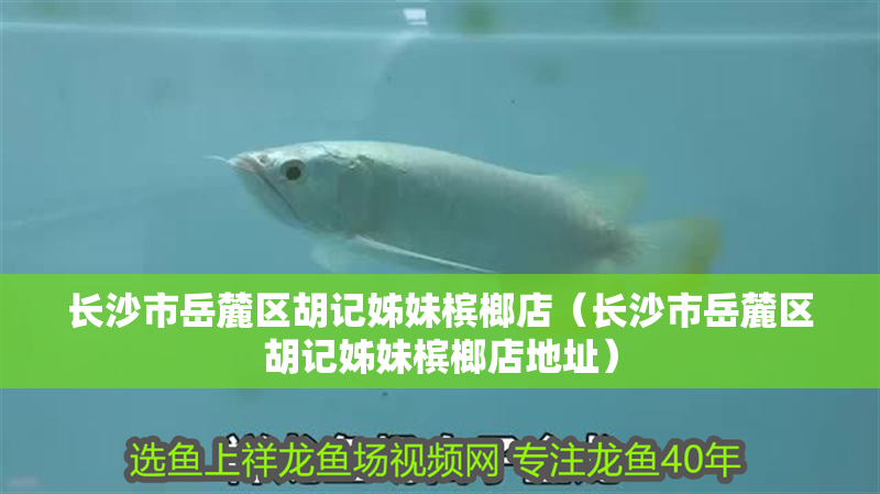 長沙市岳麓區胡記姊妹檳榔店（長沙市岳麓區胡記姊妹檳榔店地址）