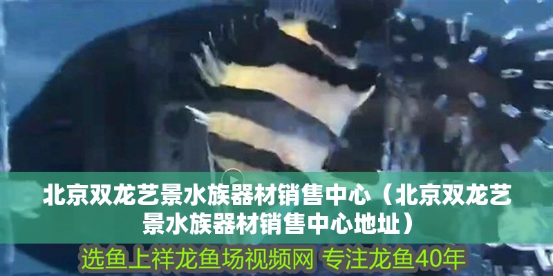 北京雙龍藝景水族器材銷售中心（北京雙龍藝景水族器材銷售中心地址） 北京雙龍藝景水族器材銷售中心（北京雙龍藝景水族器材銷售中心地址） 全國水族館企業(yè)名錄 第2張