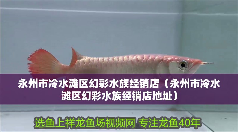 永州市冷水灘區幻彩水族經銷店（永州市冷水灘區幻彩水族經銷店地址）