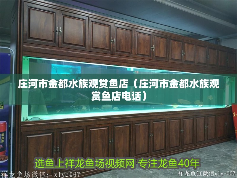莊河市金都水族觀賞魚店（莊河市金都水族觀賞魚店電話）