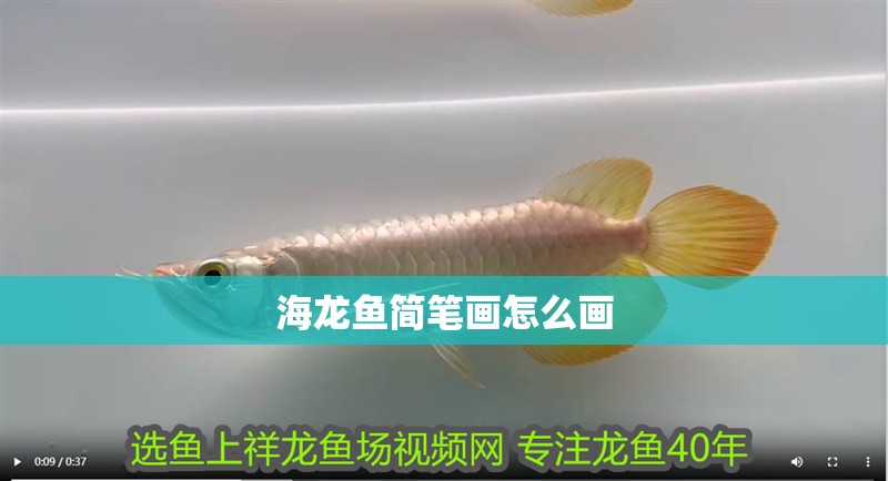 海龍魚(yú)簡(jiǎn)筆畫(huà)怎么畫(huà)