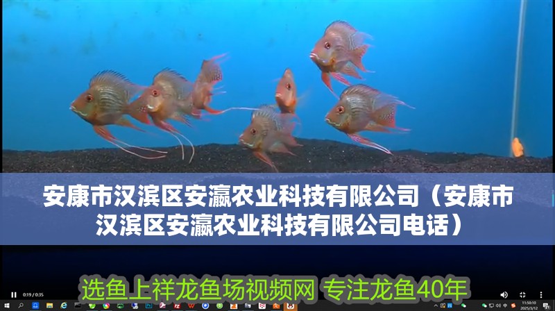 安康市漢濱區(qū)安瀛農(nóng)業(yè)科技有限公司（安康市漢濱區(qū)安瀛農(nóng)業(yè)科技有限公司電話）