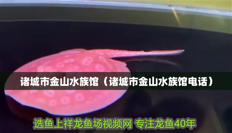 諸城市金山水族館（諸城市金山水族館電話）