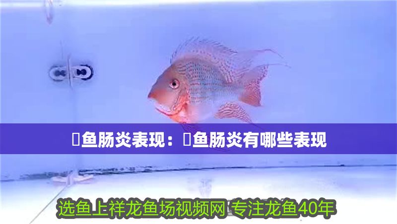 魟魚腸炎表現：魟魚腸炎有哪些表現