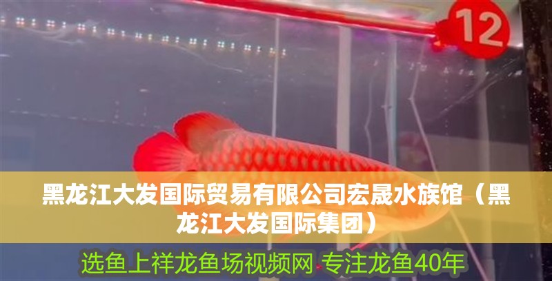 黑龍江大發國際貿易有限公司宏晟水族館（黑龍江大發國際集團） 黑龍江大發國際貿易有限公司宏晟水族館（黑龍江大發國際集團） 全國水族館企業名錄 第2張