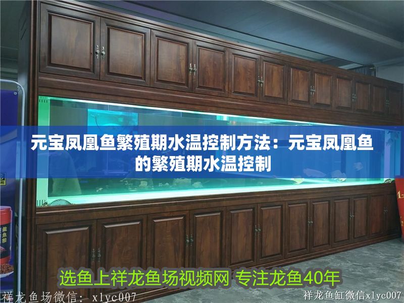 元寶鳳凰魚繁殖期水溫控制方法：元寶鳳凰魚的繁殖期水溫控制