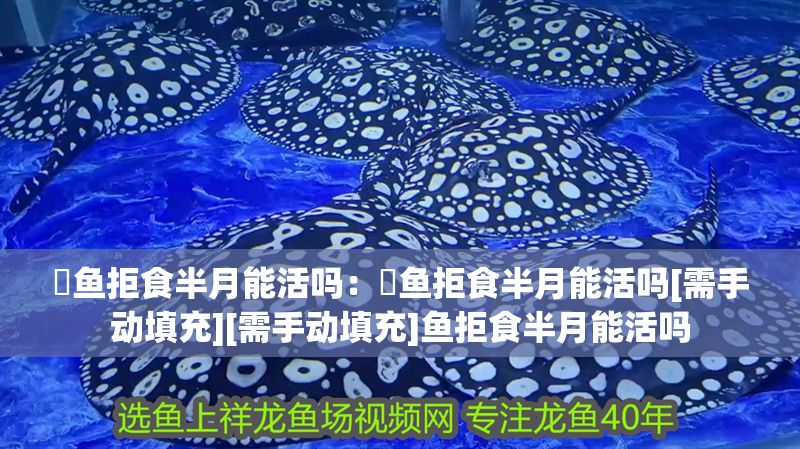 魟魚拒食半月能活嗎：魟魚拒食半月能活嗎[需手動填充][需手動填充]魚拒食半月能活嗎 魟魚拒食半月能活嗎：魟魚拒食半月能活嗎[需手動填充][需手動填充]魚拒食半月能活嗎 魟魚百科 第2張